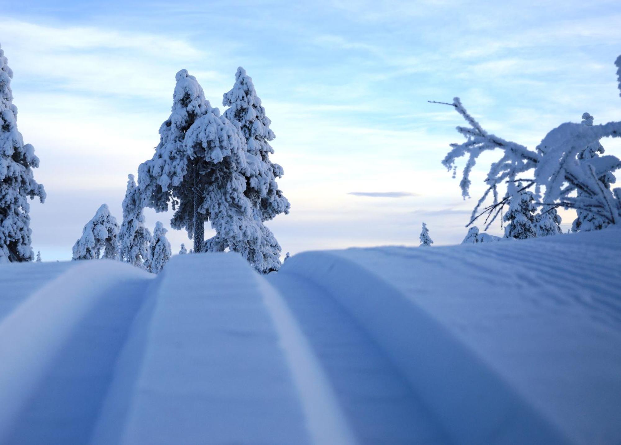 14 - Fulufjellets Nasjonalparker - Natur-, Dyre- Og Fugleopplevelser Trysil Exterior photo