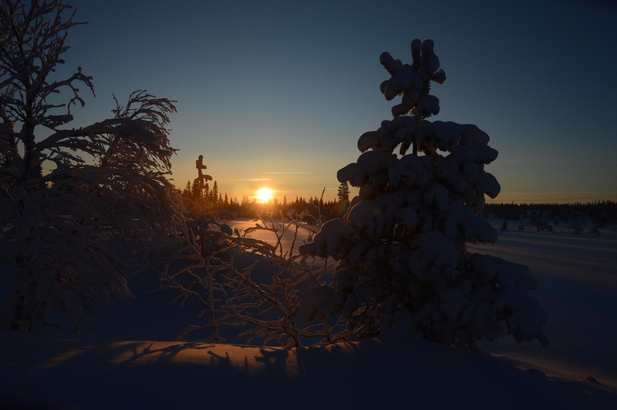 14 - Fulufjellets Nasjonalparker - Natur-, Dyre- Og Fugleopplevelser Trysil Exterior photo