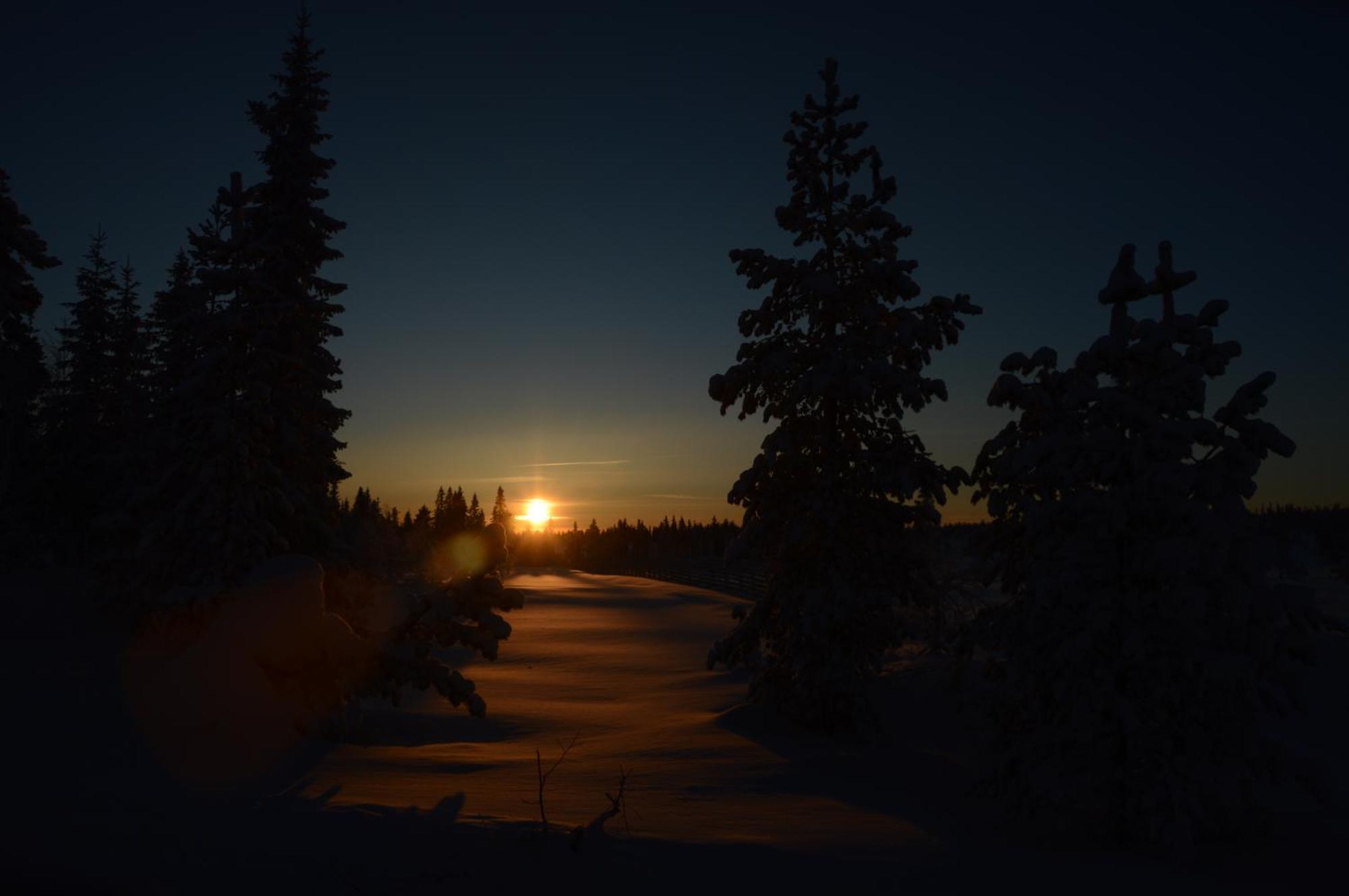 14 - Fulufjellets Nasjonalparker - Natur-, Dyre- Og Fugleopplevelser Trysil Exterior photo
