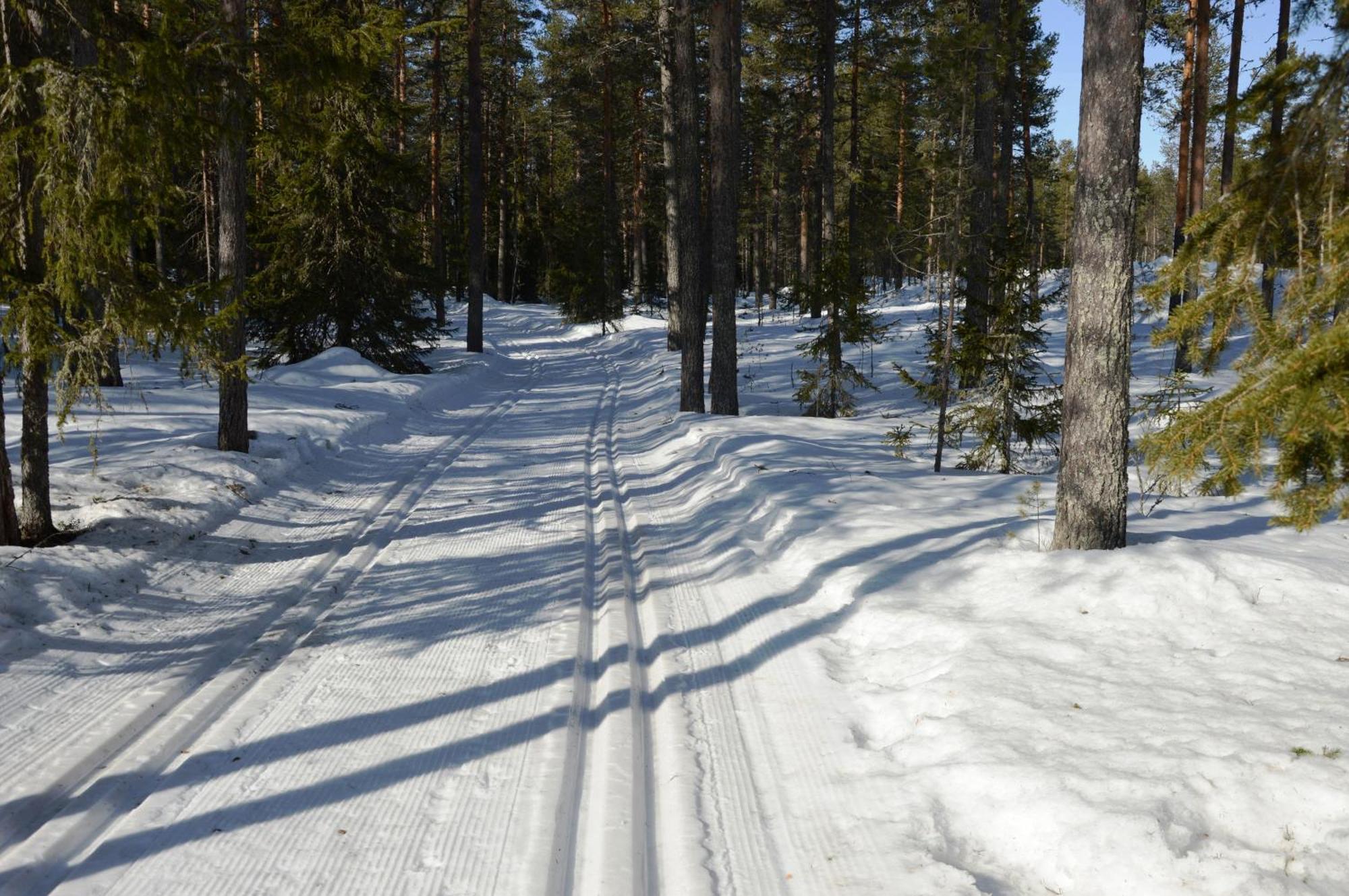 14 - Fulufjellets Nasjonalparker - Natur-, Dyre- Og Fugleopplevelser Trysil Exterior photo