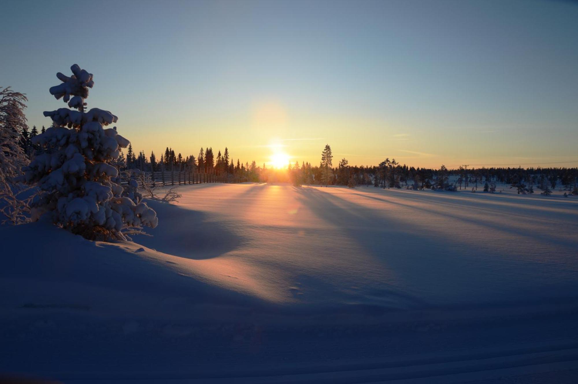 14 - Fulufjellets Nasjonalparker - Natur-, Dyre- Og Fugleopplevelser Trysil Exterior photo