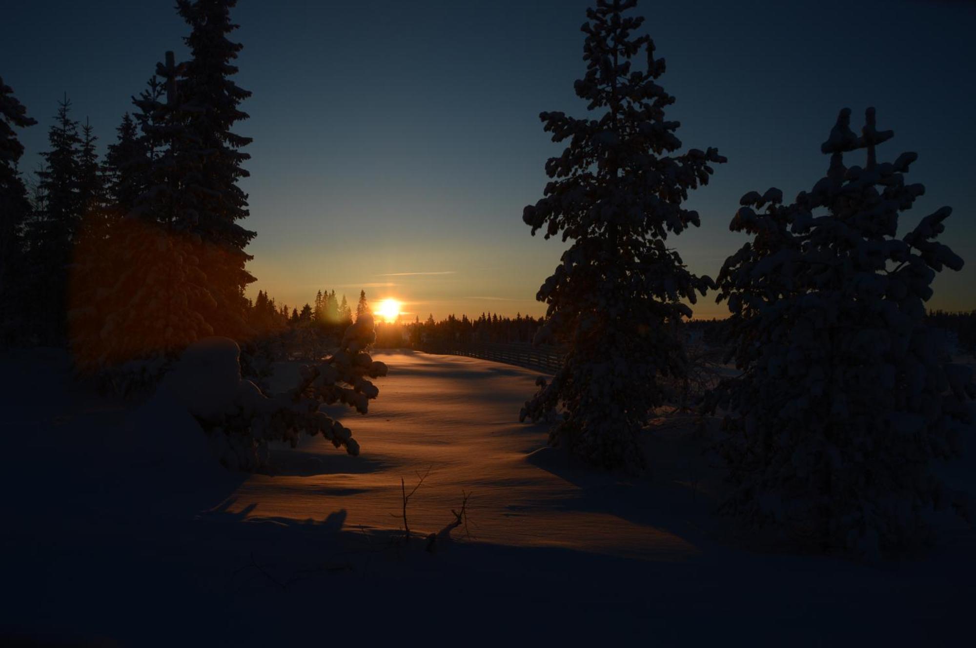 14 - Fulufjellets Nasjonalparker - Natur-, Dyre- Og Fugleopplevelser Trysil Exterior photo