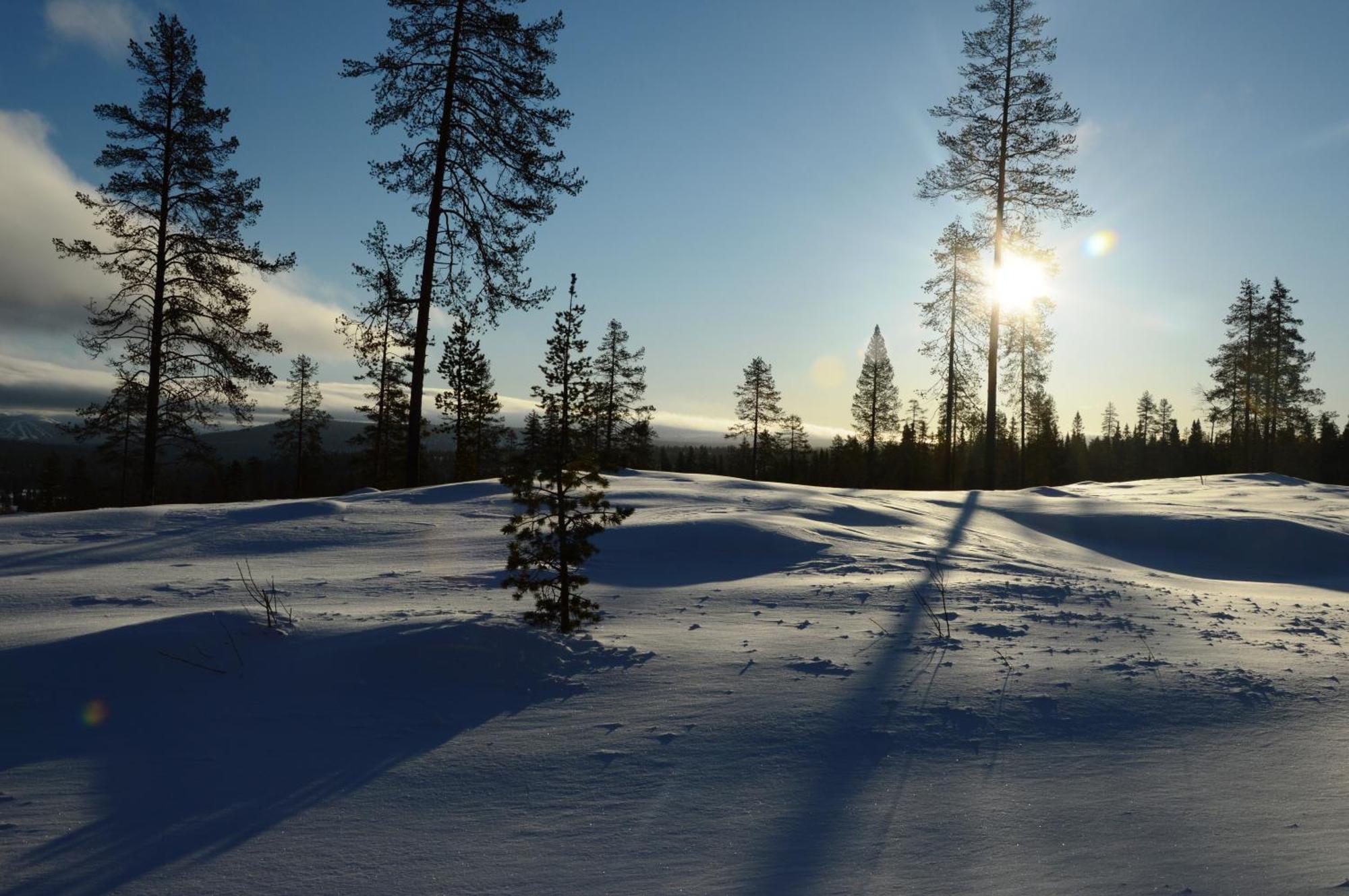 14 - Fulufjellets Nasjonalparker - Natur-, Dyre- Og Fugleopplevelser Trysil Exterior photo