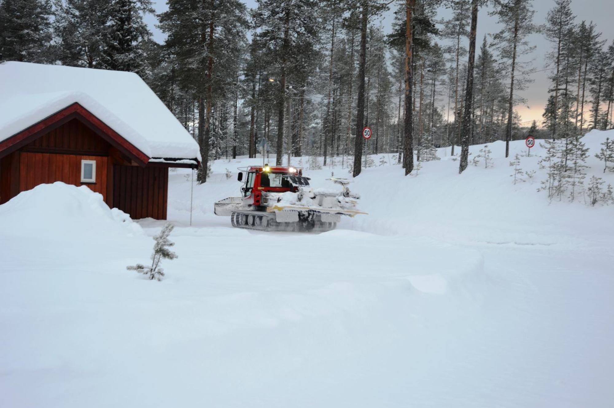 14 - Fulufjellets Nasjonalparker - Natur-, Dyre- Og Fugleopplevelser Trysil Exterior photo