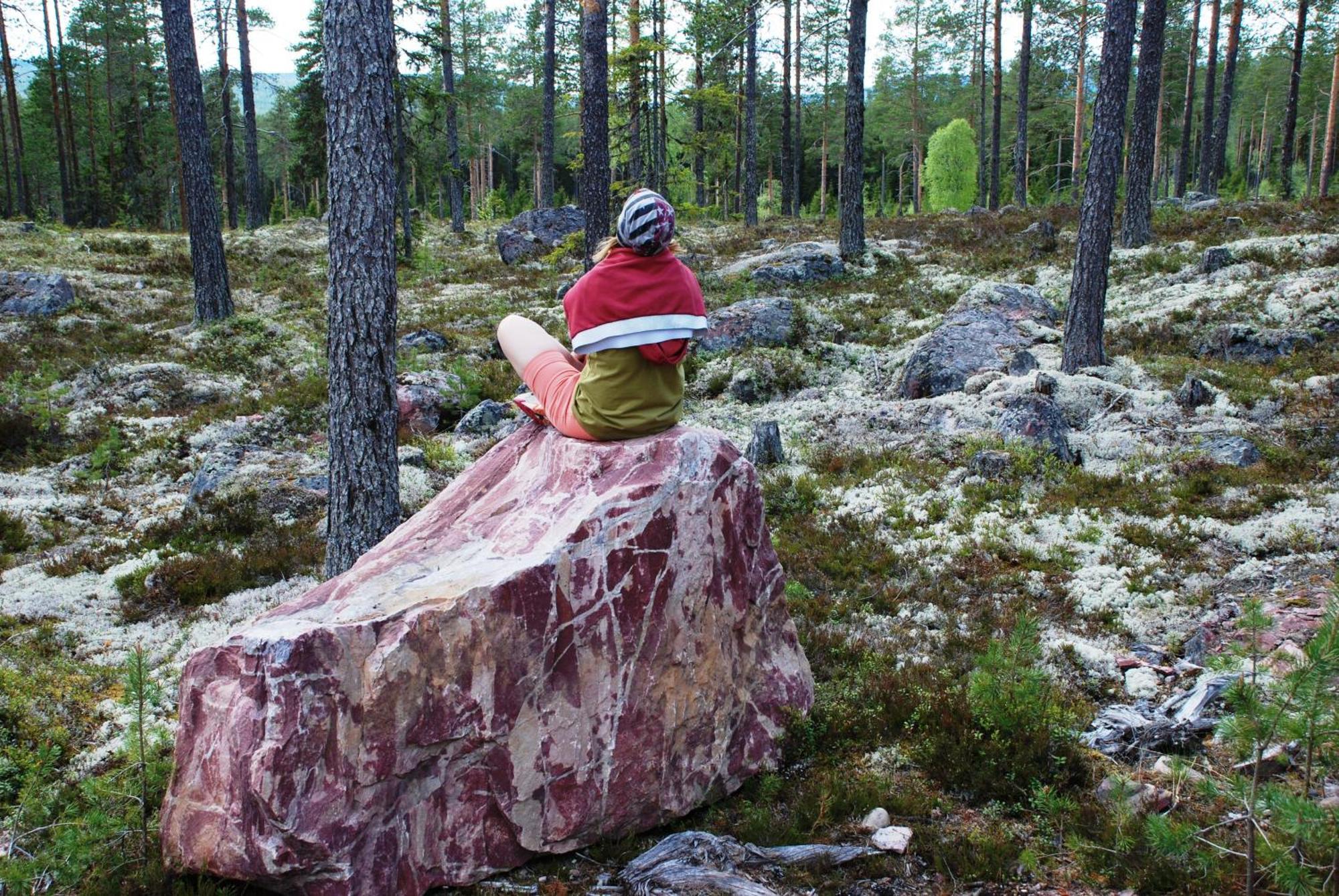 14 - Fulufjellets Nasjonalparker - Natur-, Dyre- Og Fugleopplevelser Trysil Exterior photo