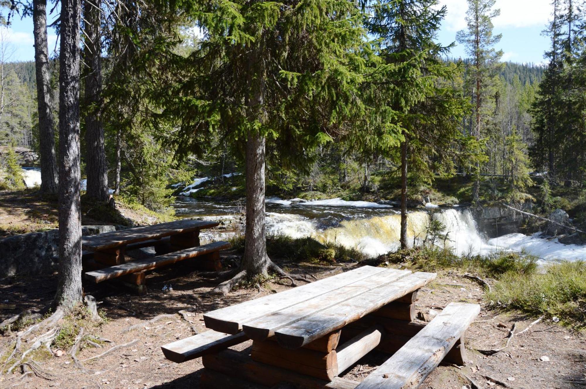 14 - Fulufjellets Nasjonalparker - Natur-, Dyre- Og Fugleopplevelser Trysil Exterior photo