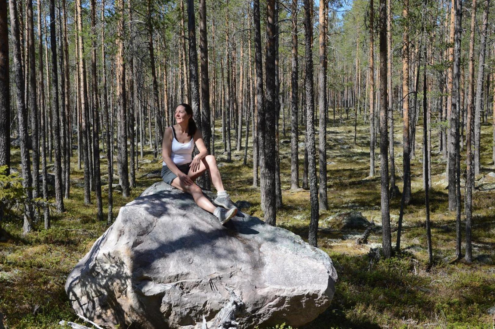 14 - Fulufjellets Nasjonalparker - Natur-, Dyre- Og Fugleopplevelser Trysil Exterior photo