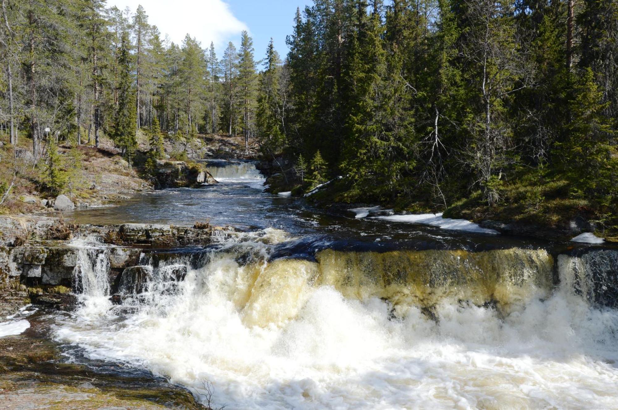 14 - Fulufjellets Nasjonalparker - Natur-, Dyre- Og Fugleopplevelser Trysil Exterior photo