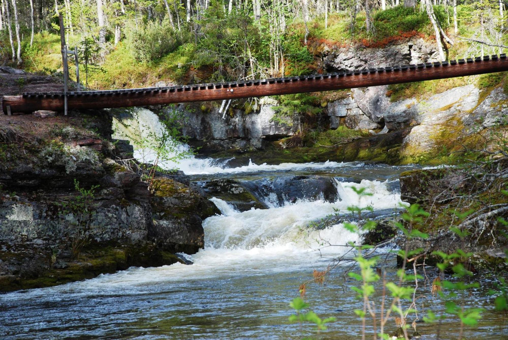 14 - Fulufjellets Nasjonalparker - Natur-, Dyre- Og Fugleopplevelser Trysil Exterior photo