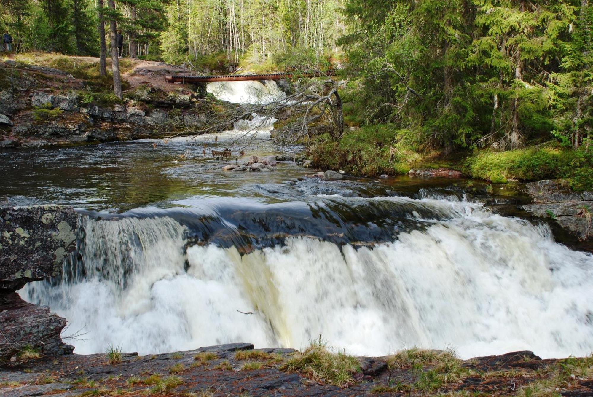 14 - Fulufjellets Nasjonalparker - Natur-, Dyre- Og Fugleopplevelser Trysil Exterior photo