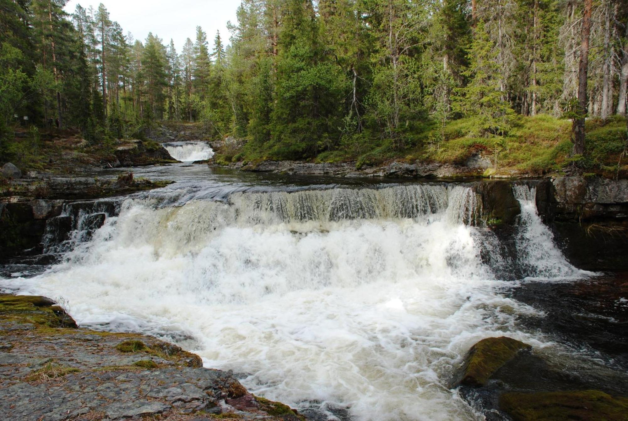 14 - Fulufjellets Nasjonalparker - Natur-, Dyre- Og Fugleopplevelser Trysil Exterior photo